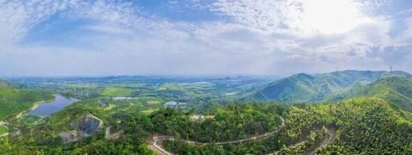 91y德州扑克玩法-91y德州扑克玩法，策略与技巧的深度剖析