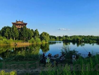 森林舞会狂欢-森林舞会狂欢，自然与欢笑的交响曲