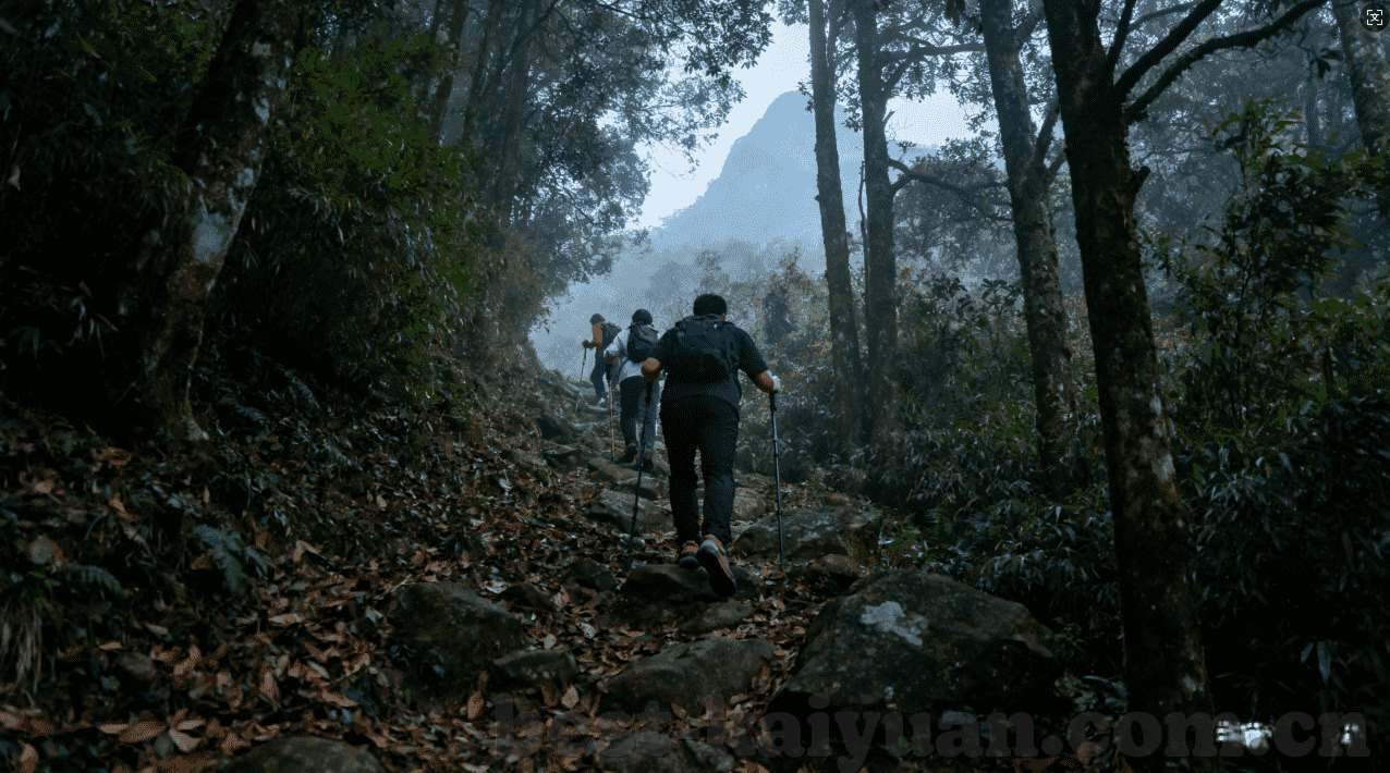 世界杯投注人数统计表-世界杯投注人数统计表,揭示全球球迷的激情与趋势